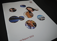 EFMD Annual Report 2013 cover